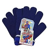 仮面ライダービルド キュウレンジャー キッズサイズ ニット手袋 のびのび手袋 防寒 雪用手袋 fo-gr5 No.02