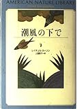 潮風の下で