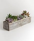 Shop Succulents (45.72cm) White Succulent Planter - Comes Planted with Live Succulent Plants (White)