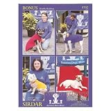 Double Knitting pattern 5792 by Sirdar