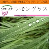 SAFLAX - Garden in the Bag - レモングラス - 50 個の種。- 取扱いが簡単なスタンドアップバッグに栽培用土壌が入っています - Cymbopogon flexosus