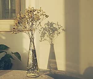 Amazon Co Jp ノーブランド品 ホーム インテリア ガラス 花瓶 ボトル フラワーベース 水耕栽培 雑貨 飾り 容器 装飾 透明 ホーム キッチン