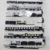 Baby Boy Blankets Microplush with Train Print Blue/green by Thro