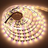 LEDENET Flexible RGBWW LED Strip Lighting 5M 360LEDs DC 24V Black PCB Lamp Non-waterproof (RGB+Warm 