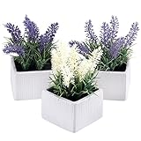 Set of 3 Assortedカラー人工ラベンダーの花植物ホワイトTexturedセラミックポット