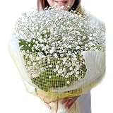 誕生日 プレゼント かすみ草 カスミソウとグリーン花束 ドライフラワーにも