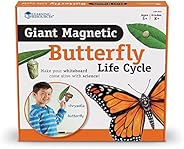 ラーニング リソーシズ(Learning Resources) マグネット式 蝶のライフサイクル LER6043