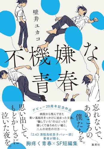 壁井ユカコ:不機嫌な青春