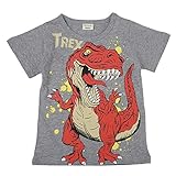 LieLiestar tシャツ 子供服 キッズ服 トップス 短袖 半袖 夏用 恐竜プリント 部屋着 綿 キッズ服 トップス 服 Uネック 男