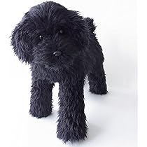 Amazon.co.jp: ニニアンドキノ ぬいぐるみ 犬 リアル トイプードル 
