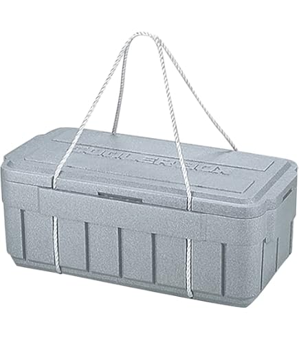 Amazon.co.jp: [2点セット] 発泡クーラーボックス 14L : スポーツ＆アウトドア