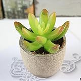 Liebeye 人工観葉植物　多肉 植物　鉢植え　シミュレート　マイクロトラック　ホーム　オフィス　ホテル　装飾　デコレーション Gem lotus (yellow)
