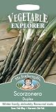 MFVX 英国ミスターフォザーギルズシード Vegetables Explorer Scorzonera Duplex ベジタブル・エキスプローラー・スコルツォネラ・デュプレックス（西洋黒ゴボウ）