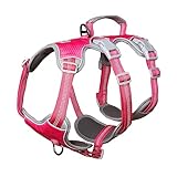 Huntboo 犬 ハーネス 小型犬 中型犬 大型犬 犬用ハーネス 犬用胴輪 抜けない 脱出防止 ハンドル サイズ調整可能 夜間反射 簡単着脱 ソフト 防水 散歩 トレーニング（L、ローズレッド）