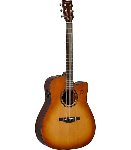 YAMAHA トランスアコースティックギター （LS-TA BS） YAMAHA LS-TA BS|ドルフィンギターズ