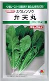 弁天丸ほうれん草 タキイ種苗のホウレンソウ種です