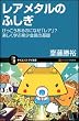 レアメタルのふしぎ (サイエンス・アイ新書)