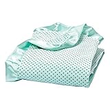 Trend Lab Soft Mint Delightful Dot Velour and Satin Receiving Blanket [並行輸入品]