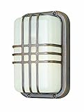 Trans Globe Lighting 41104 SAL 10-Inch 1-Light Outdoor Bulkhead, Satin Aluminum [並行輸入品]