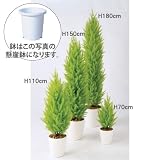 エフプランター 人工観葉植物-ゴールドクレストツリー-70-6号鉢-懸崖鉢