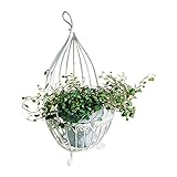 COVENT GARDEN ピュアホワイト・コクーン GX-72