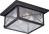 Nuvo Lighting 60/5626 Wingate Flush 2 Light 60-watt A19 Outdoor Close to Ceiling Porch and Patio Lig