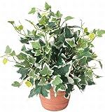 造花 観葉植物 光触媒 グリーン ホーランドアイビー 262A2537