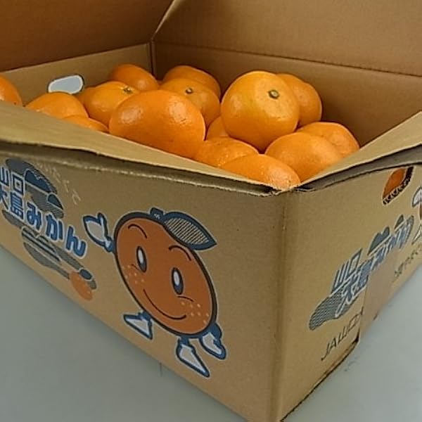 Amazon.co.jp: 『山口大島みかん S～Lサイズ 10kg』（周防大島産