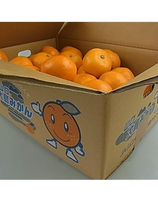 Amazon.co.jp: 『山口大島みかん S~2Lサイズ 5kg』（周防大島産