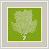 Surya LJ4237-2929 Wall Decor, 29 by 29-Inch [並行輸入品]