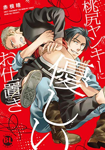 『桃尻ヤンキーに優しいお仕置き』