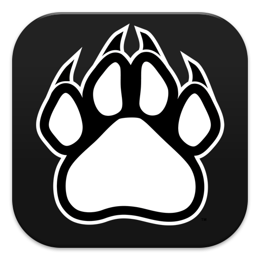 Amazon Co Jp Black Panther Hd Wallpaper Android アプリストア