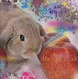 the other side of paradeis