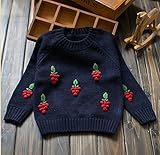 Candykids 女児 女の子 子供服 長袖 ニットセーター クルーネック 毛糸セーター キッズ こども 可愛い蒲萄柄 秋冬着 通園 結婚式 発表会 お出かけ (120CM, ネイビー)