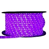 LEDロープライト 点滅セット 紫 50ｍ チューブライト 1250球 直径10mm イルミネーション 高輝度 AC100V クリスマス 照明 デコレーション 防水 屋外