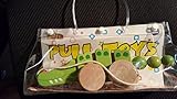 Pull Toys Animal in carrying case [並行輸入品]