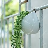 ミニ陶器鉢 白 多肉植物 サボテン鉢 植木鉢 壁掛けプランター フラワーポット+フック