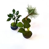 観葉植物 ミニ盆栽 フェイク 造花 ♪【カップボン】ぐいのみ三個セット 青×黒D♪ 【prm】インテリアグリーン フェイクグリーン アーティフィシャル 開店祝い 新築祝い ギフト 模様替え 店舗内装 