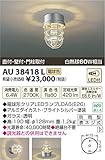 コイズミ照明 ポーチ灯(白熱球60W相当)電球色(ブライトシルバー塗装) AU38418L