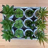ミニ サボテンアソートセット 10cm 多肉植物 人工観葉植物 造花 フェイクグリーン インテリア ミニ かわいい