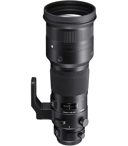 Nikon AF-S Nikkor 500mm f/5.6 E PF ED VR Camera Lens : Amazon.sg