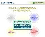 レジガードボンドJH 9kgセット 大日本塗料
