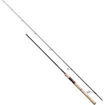 51-EtT9ONFS._AC_UL210_SR210,
