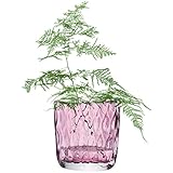 G604-15-974 TULLE VASE H15cm PALE HEATH TLA2253