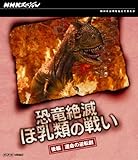 NHK�X�y�V���� ������� �ٓ��ނ̐킢 ���