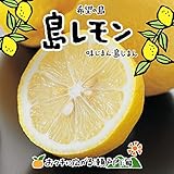 希望の島 無農薬レモン サイズ込 国産 愛媛 中島産 瀬戸内レモン (10kg)