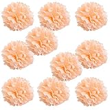 WYZworks ( 10パック) Tissue Pom Poms – セットof 10 – 10 "花パーティーデコレーション、結婚式、誕生日、ブライダル、ベビーシャワー、保育園、飾り HMM-PP