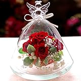 プリザーブドフラワーIPFA プリザーブドフラワー ギフト 『ガラスドーム エンジェル (レッド)』
