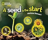 A Seed is the Start