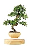 磁気浮上エア盆栽サスペンションフラワーポット鉢植え浮揚浴槽 THINKER1999